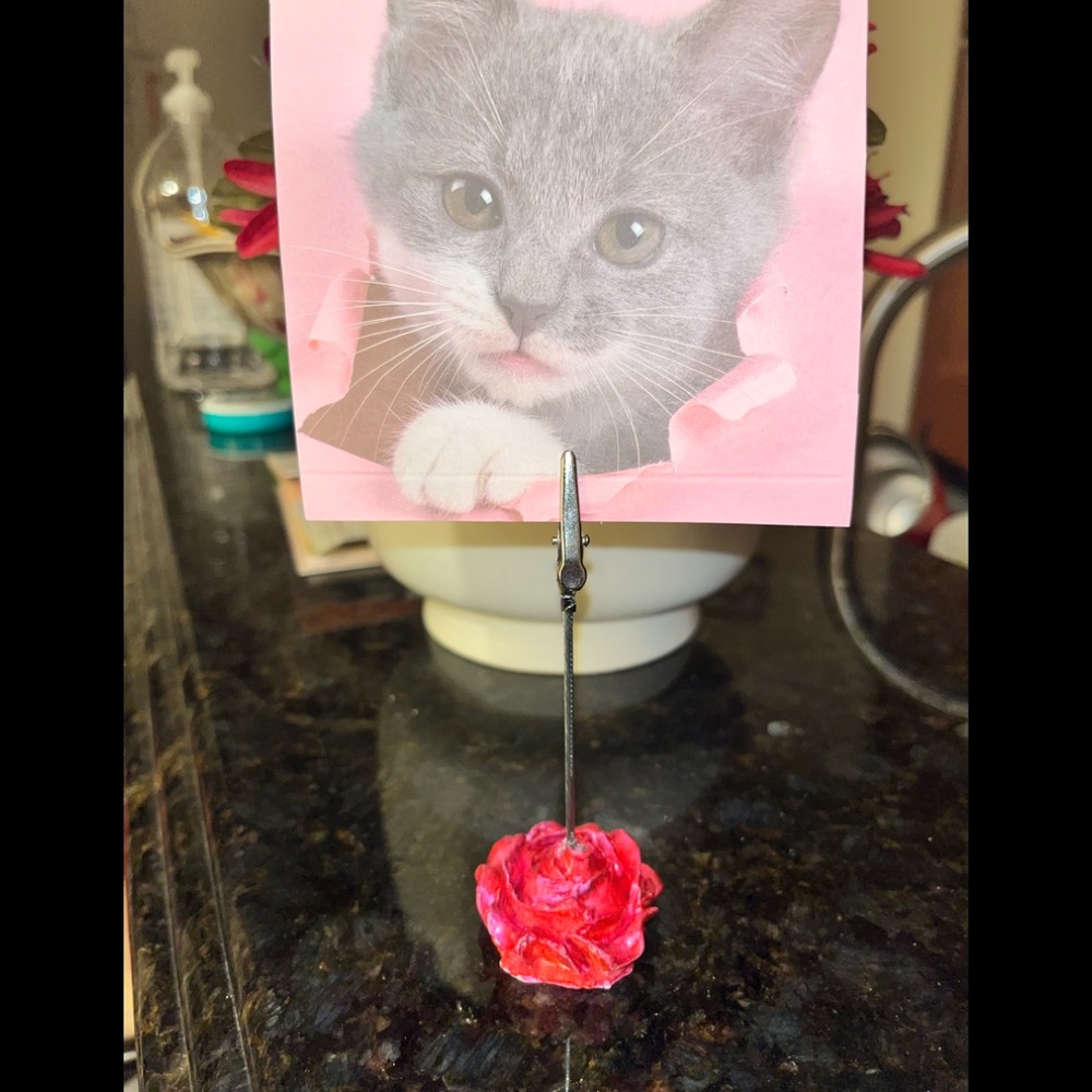 Red rose 🌹 card photo holder